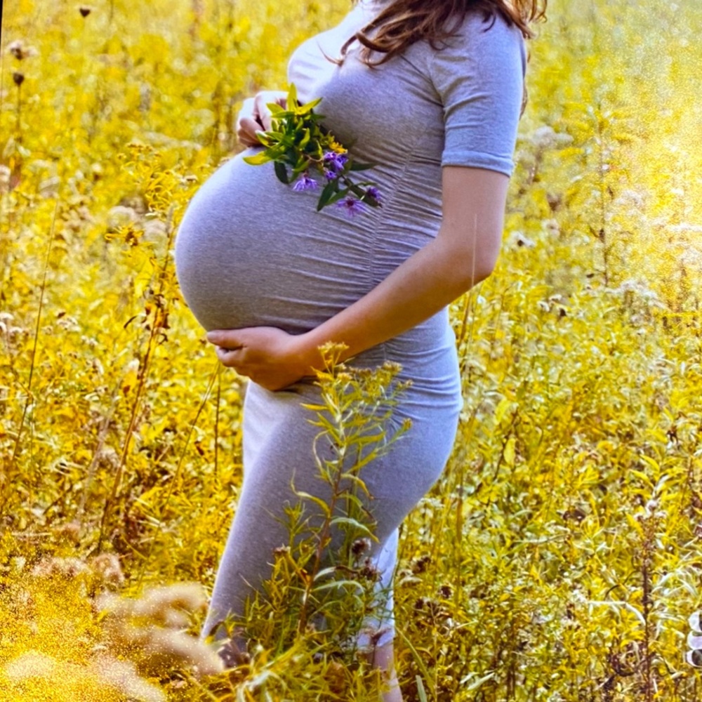 Host pick! 🎉 Isabella Oliver Gray Maternity Dress